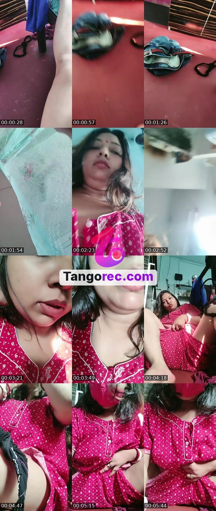 @honeybee519 Tango LIVE from 2026-10-05