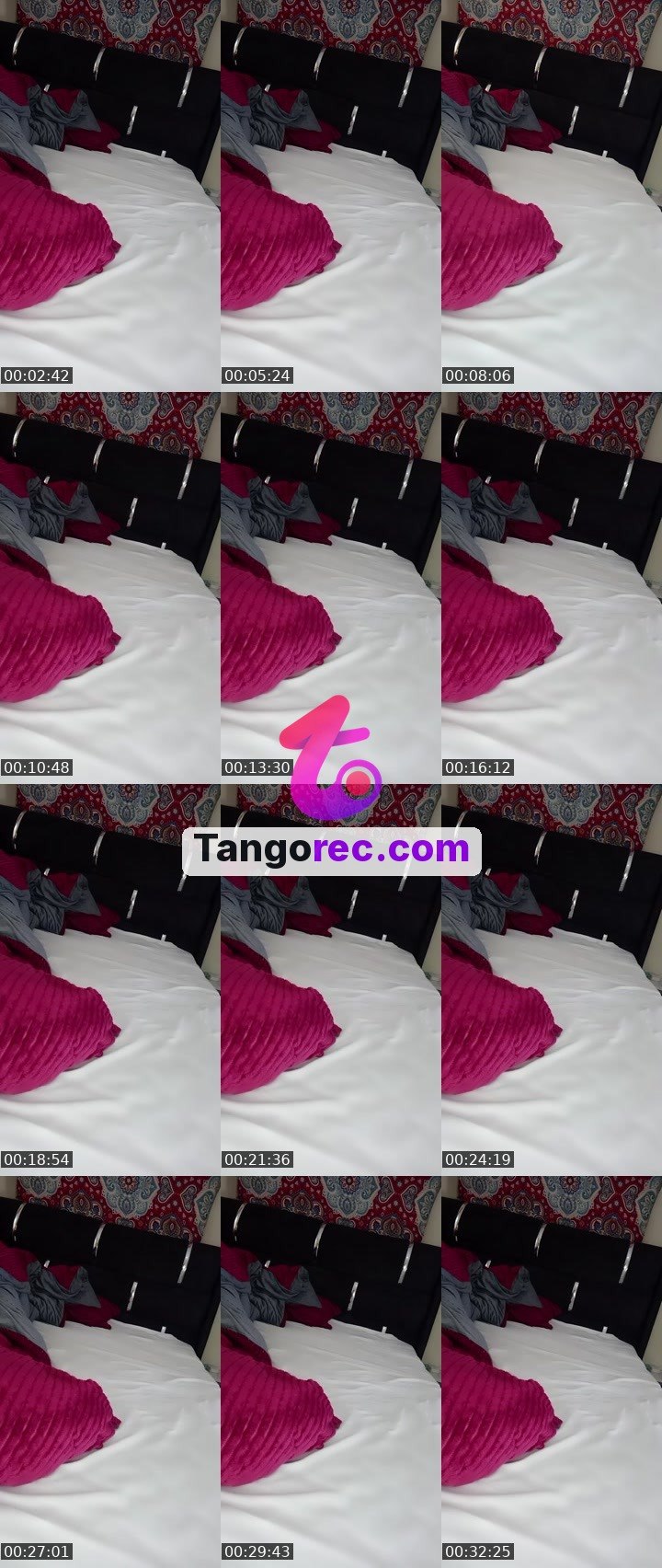 @pleasantpenguin-51426 Tango LIVE