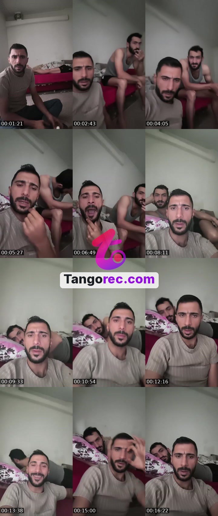 @nice-moose-18817 Tango LIVE