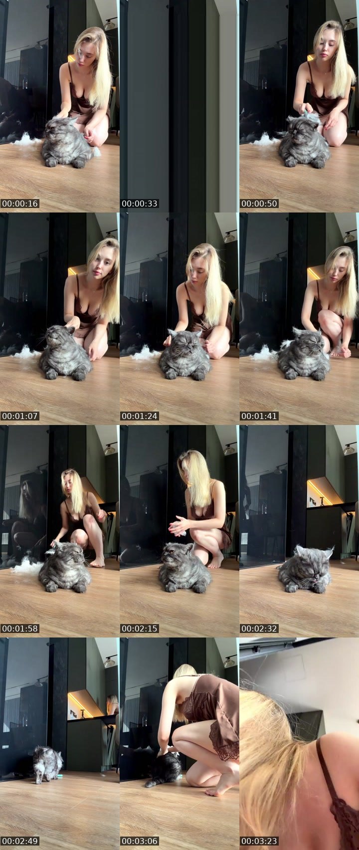 @karinahh2924fqpi Tango LIVE from 2026-08-11
