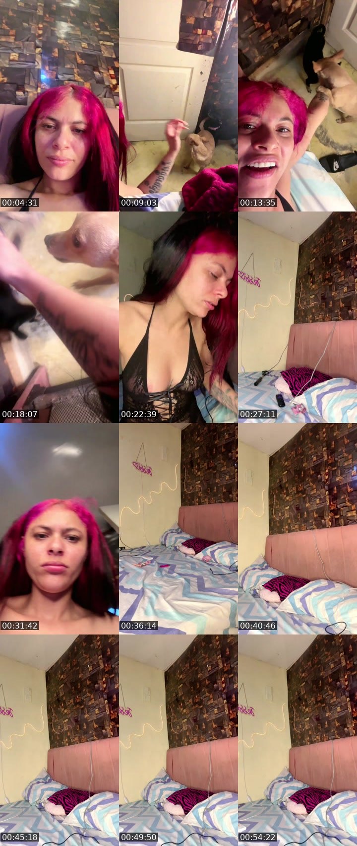 @tusadicax72 Tango LIVE from 2026-08-11
