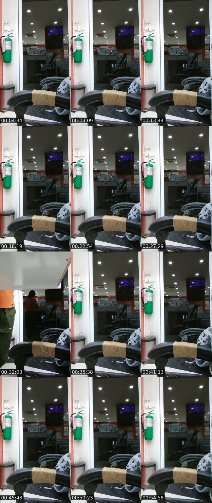 @glorious-bear-105676 Tango LIVE from 2026-08-12