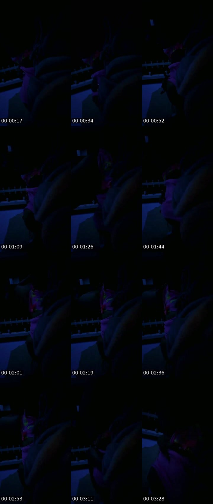 @trendymoose-85253 Tango live from 2026-08-14