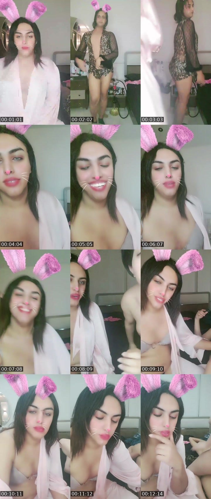 @gloriousmoose-48915 Tango live from 2026-08-17