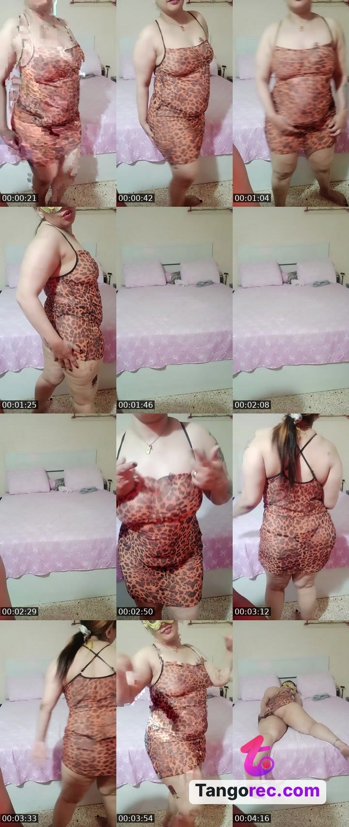 @actionhippo-214989 Tango live from 2026-08-18