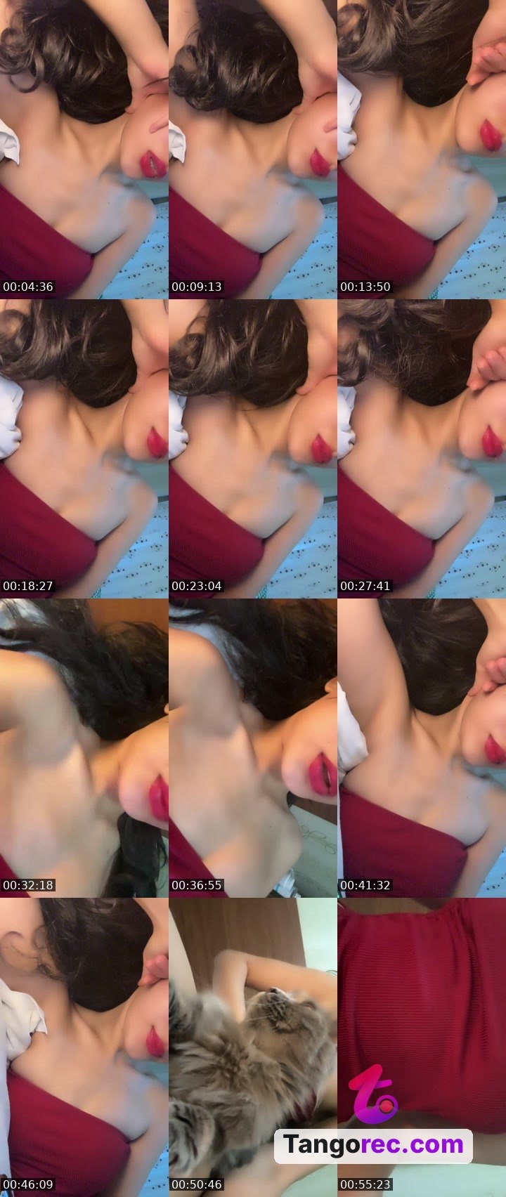 @192ggggg Tango LIVE