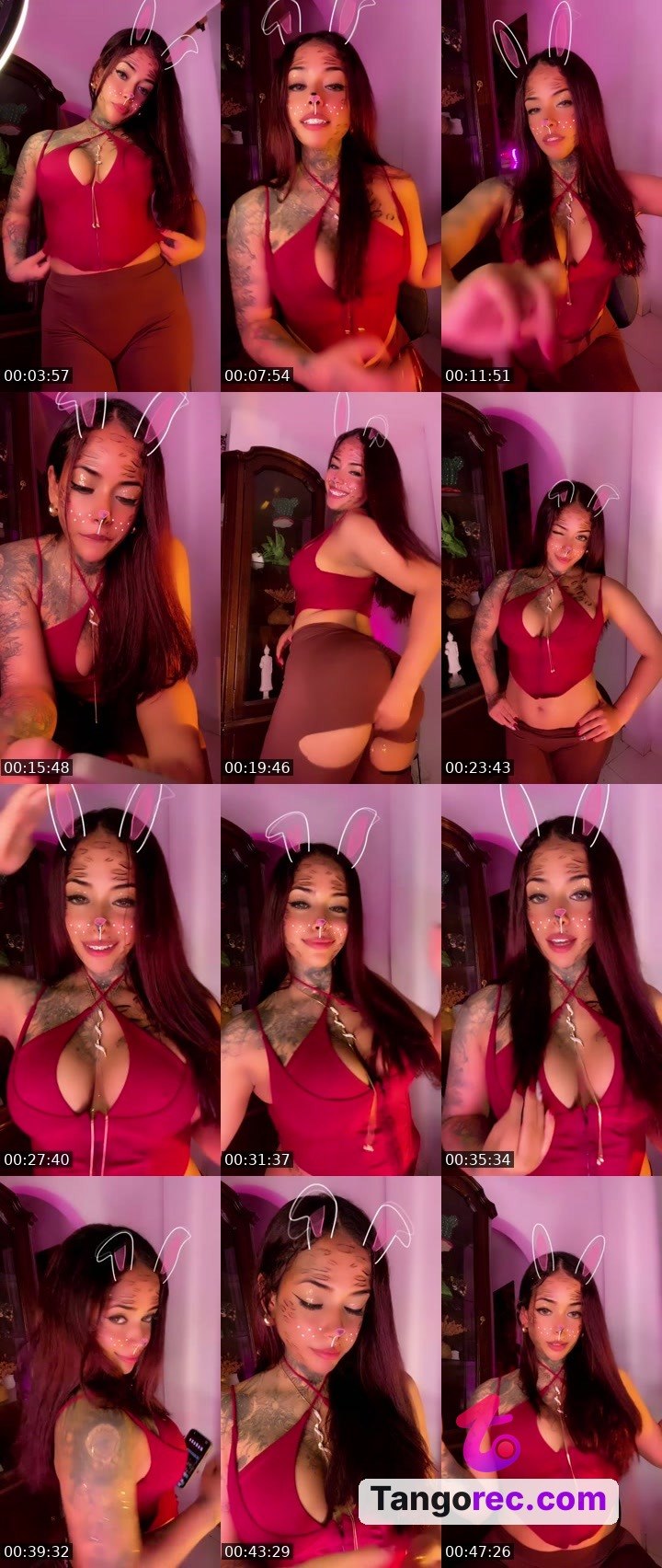@kosh77 Tango live from 2026-08-18