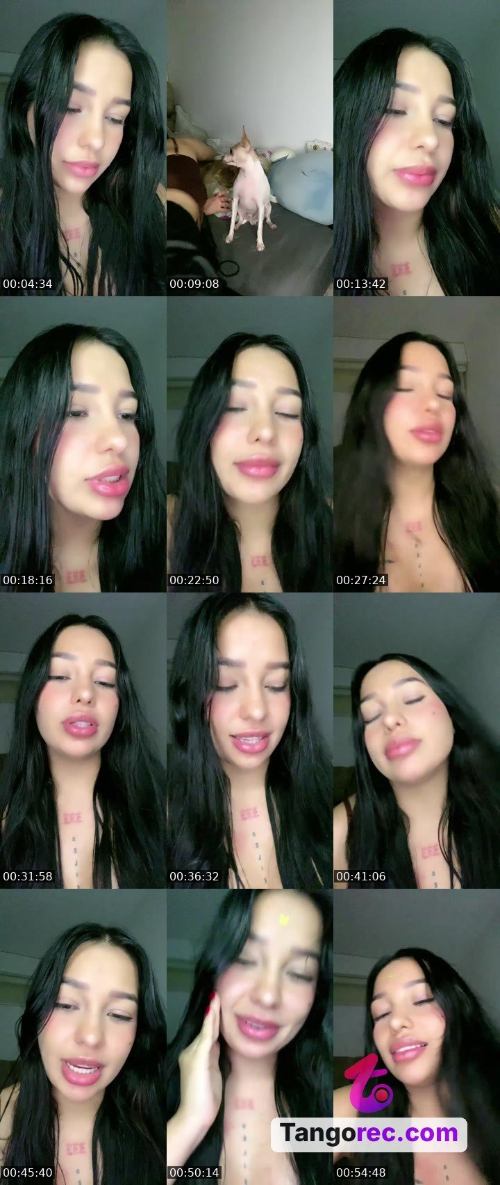 @gabyb333 Tango LIVE