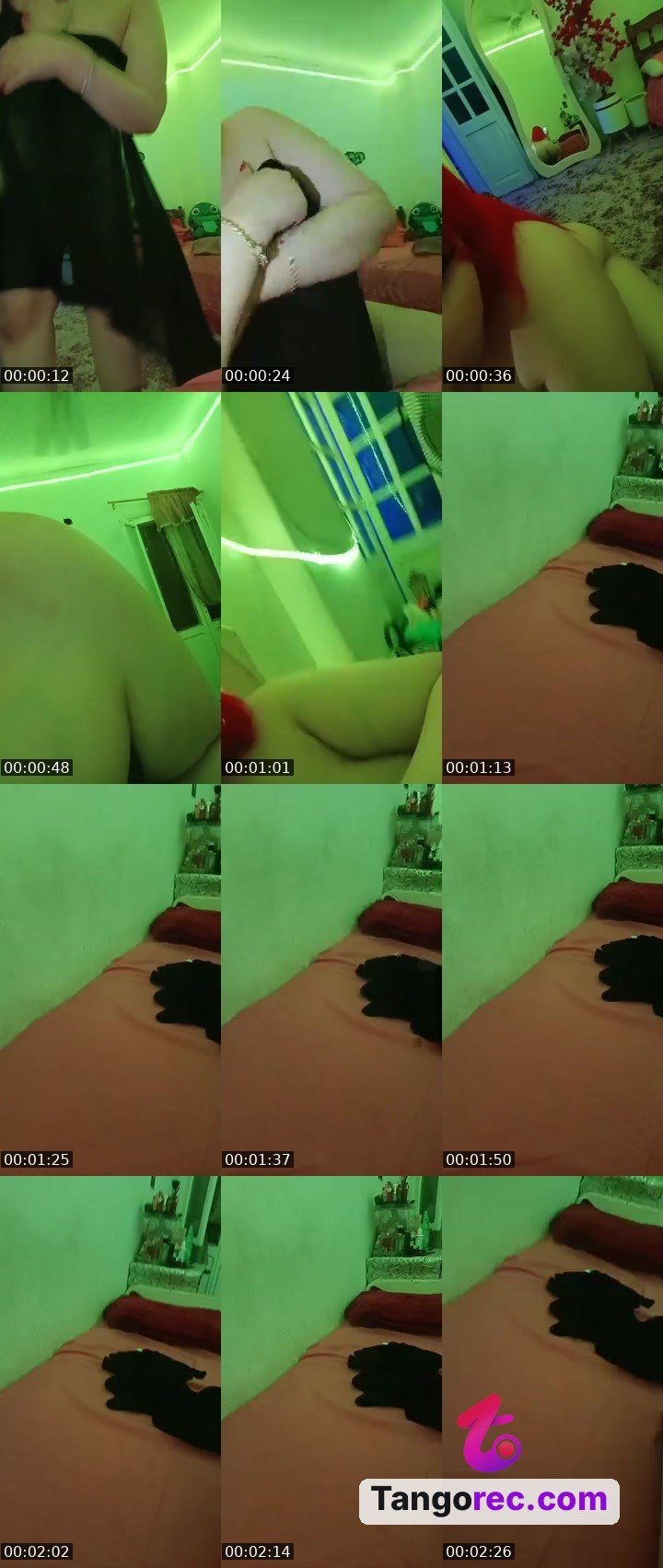@maestrorabbit-69885 Tango LIVE