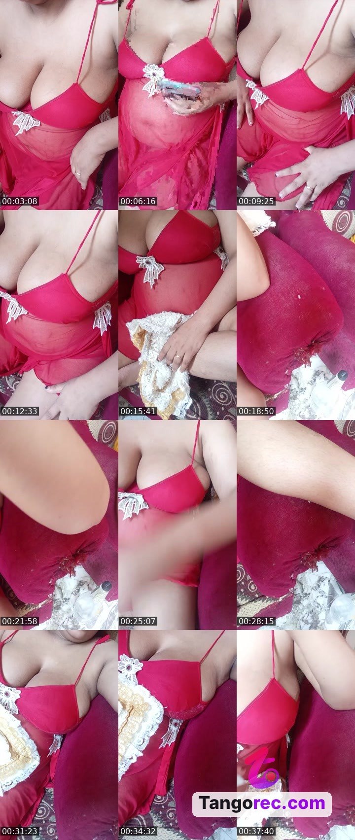 @nice-fox-113626 Tango LIVE