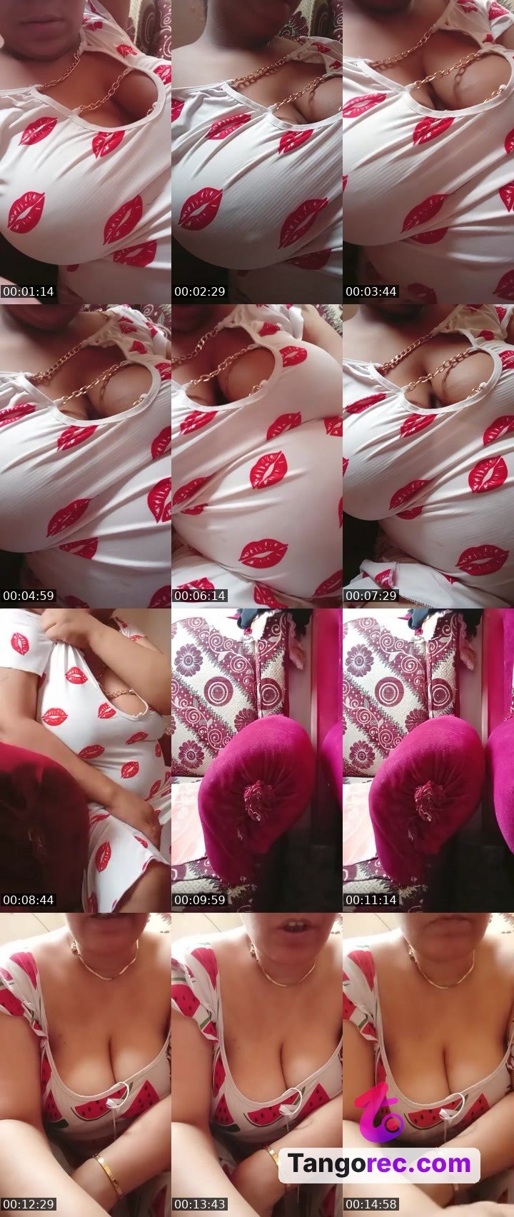 @cute-rhino-110448 Tango live from 2026-08-19