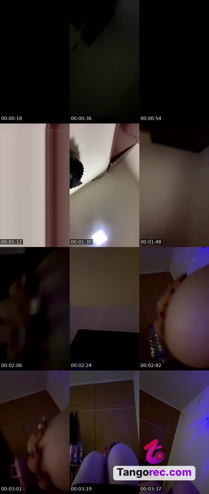 @pleasantgiraffe-122643 Tango live from 2026-08-19