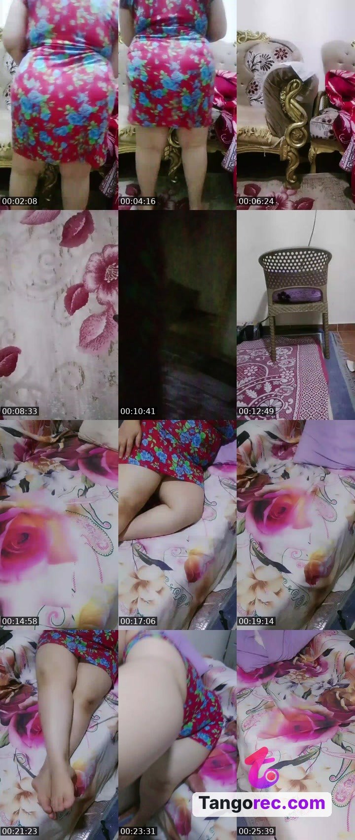 @kind-panda-115862 Tango LIVE