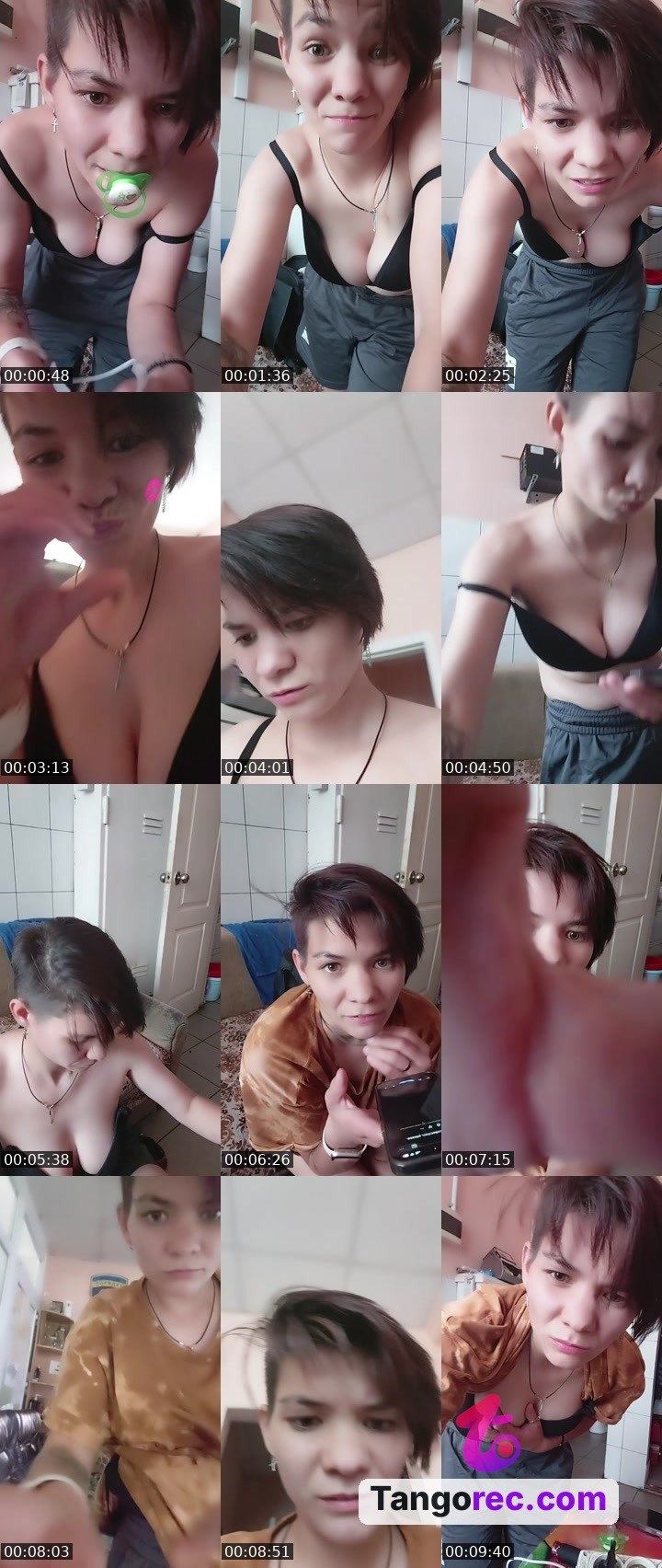 @tuxedocat-532135 Tango LIVE