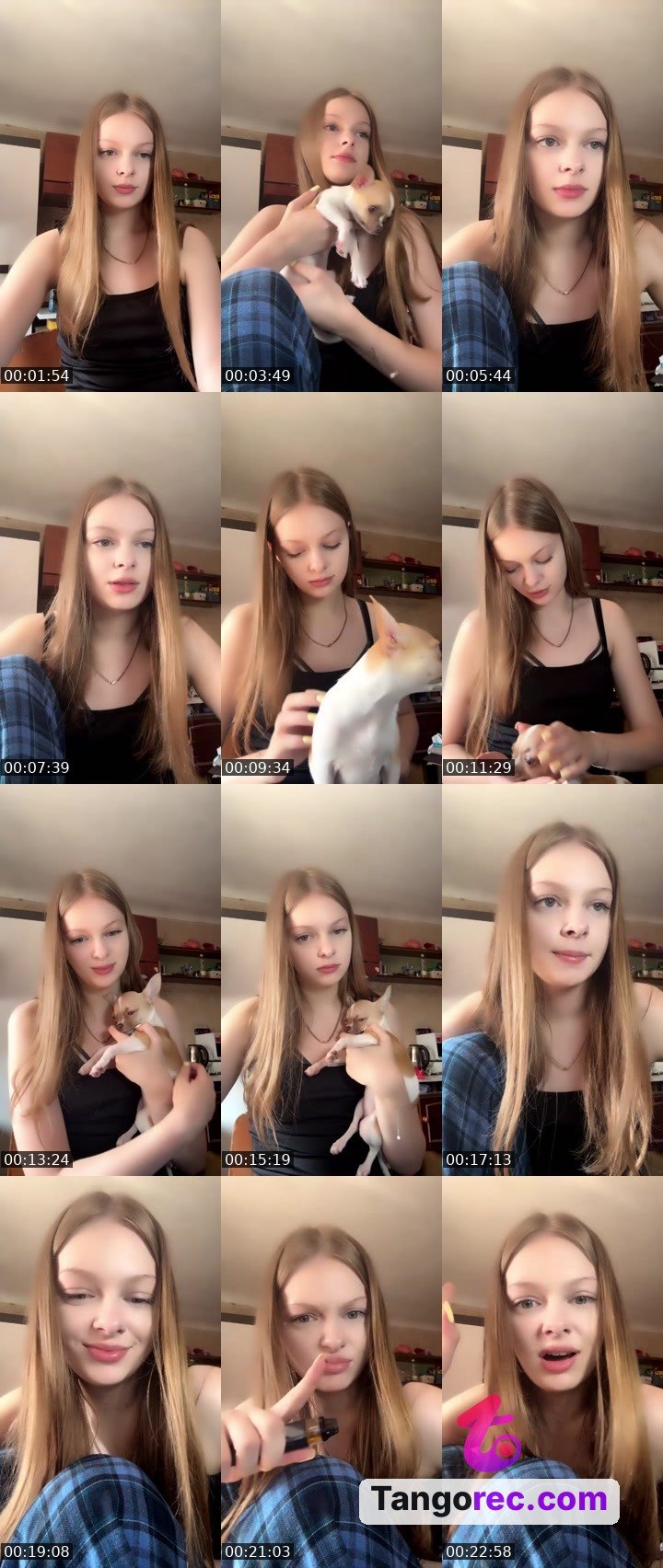@superduperpenguin-94737 Tango LIVE