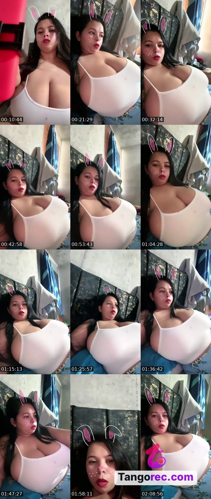 @cutecat-27558 Tango LIVE