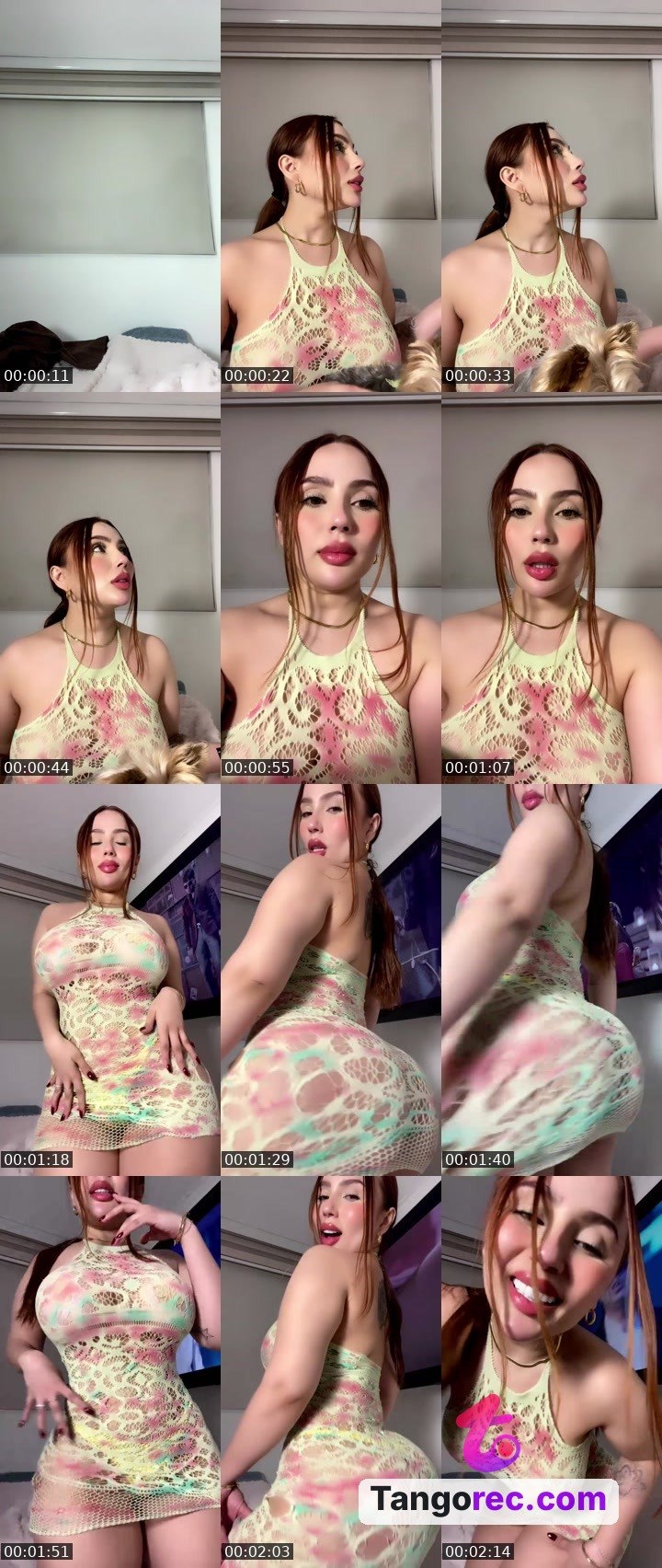 @yulycol Tango LIVE