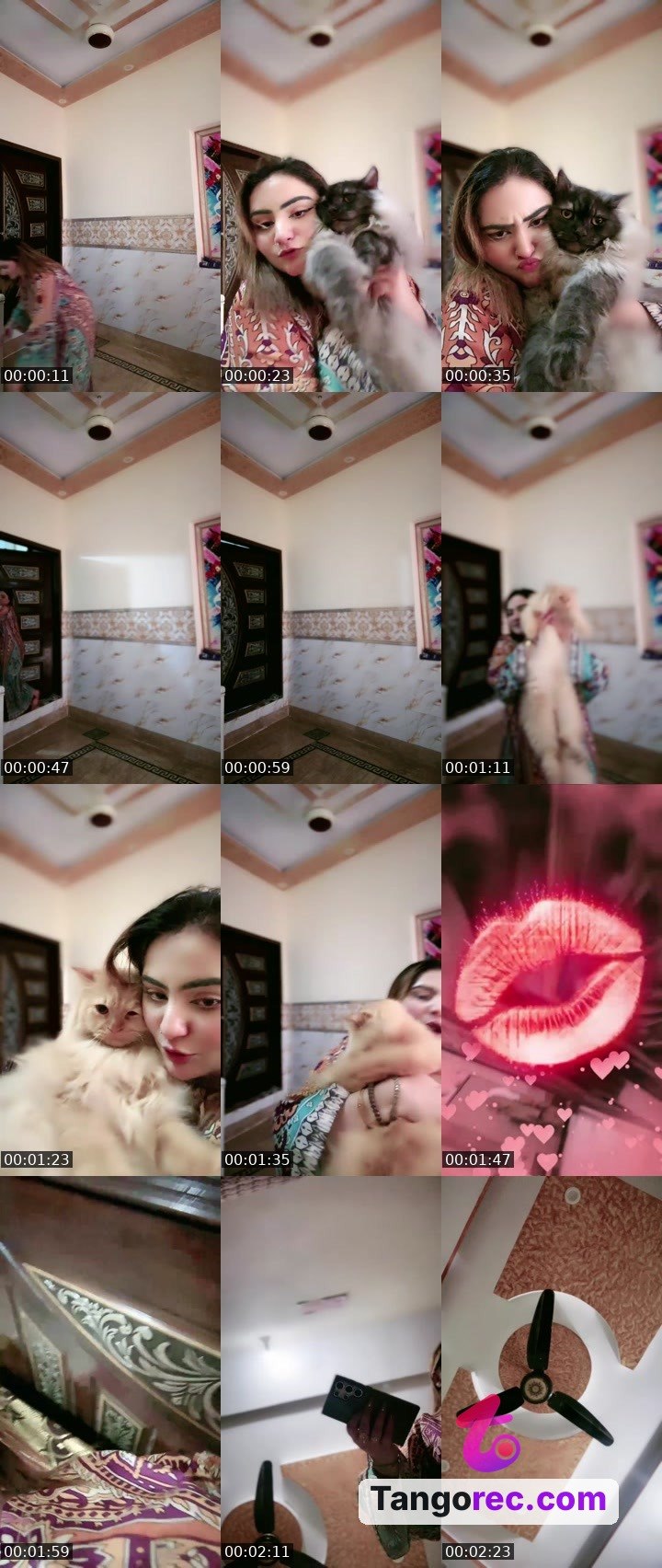 @bano420 Tango LIVE