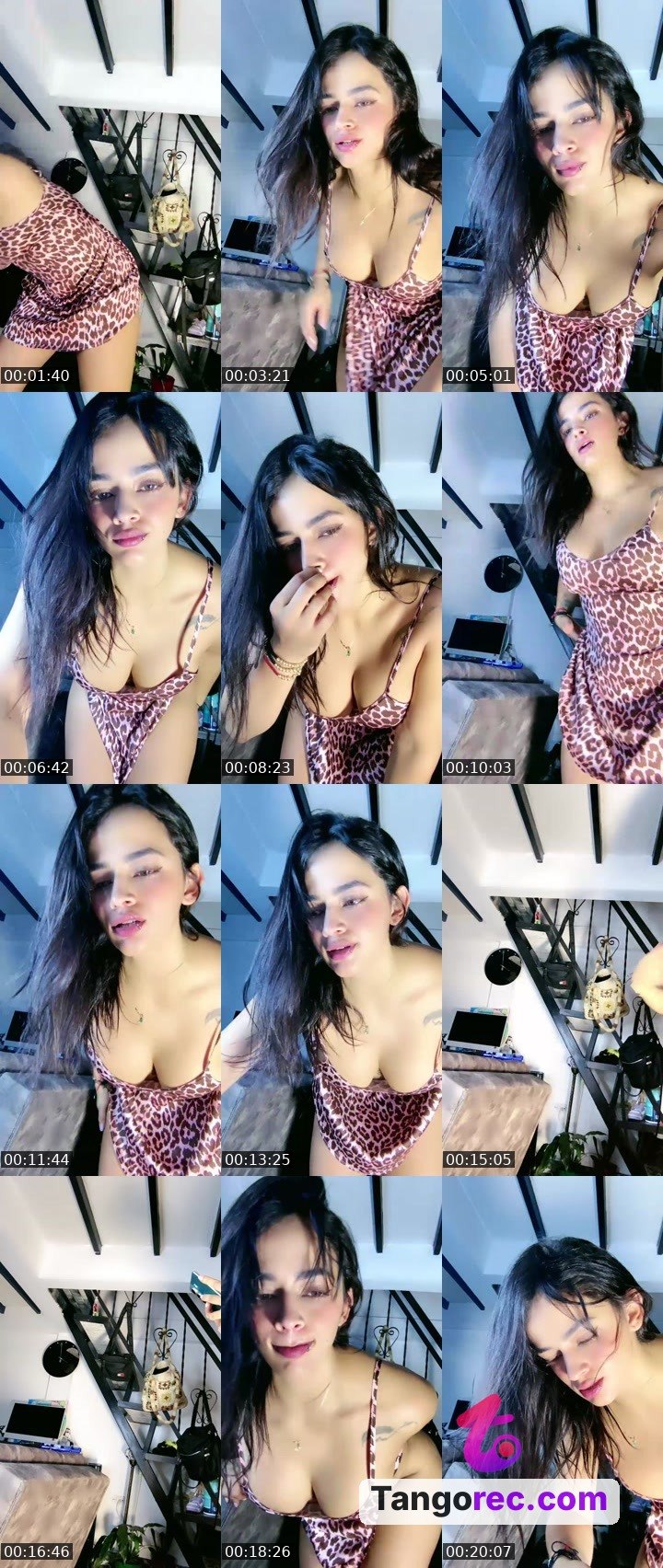 @tyael777 Tango live from 2026-08-22