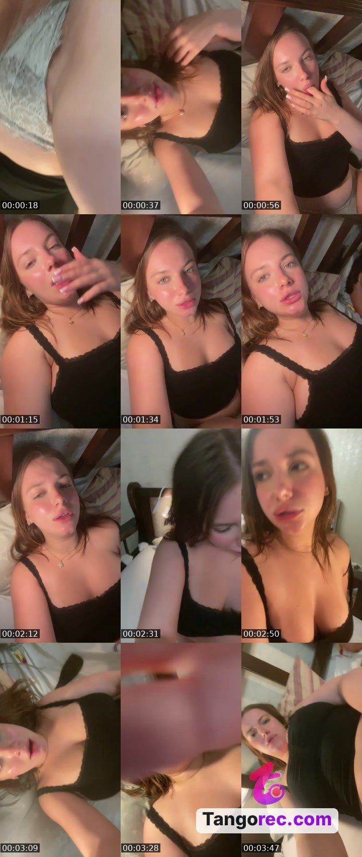 @cute-fox-34446 Tango LIVE