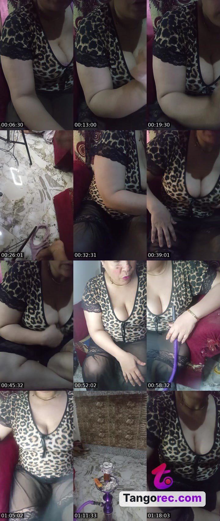 @nice-fox-113626 Tango LIVE