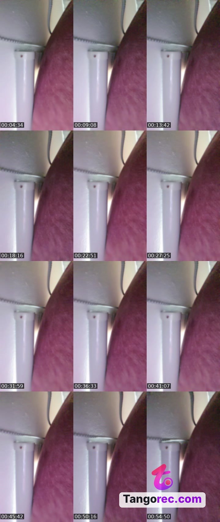 @tyael777 Tango live from 2026-08-23