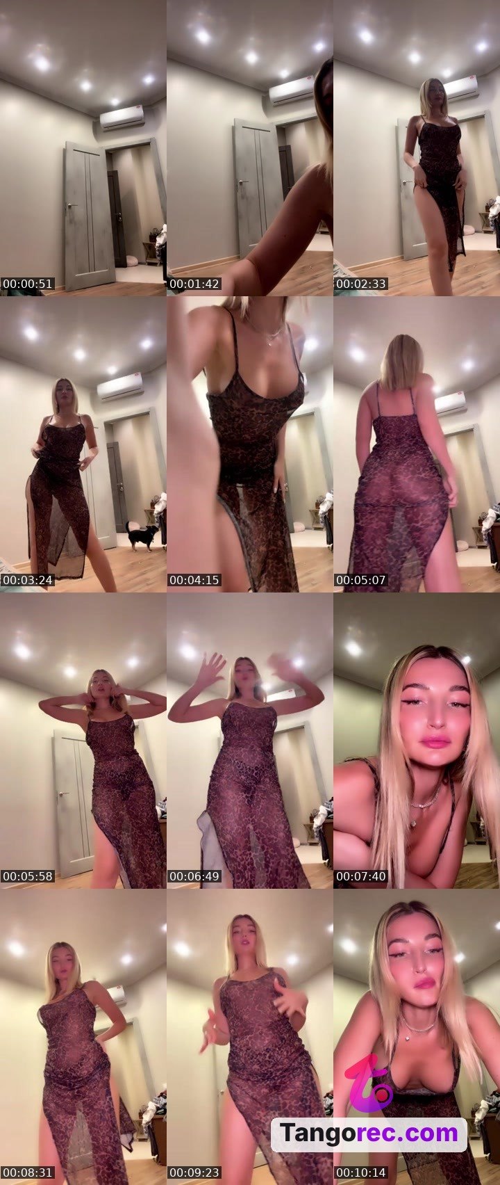 @saudi67 Tango LIVE