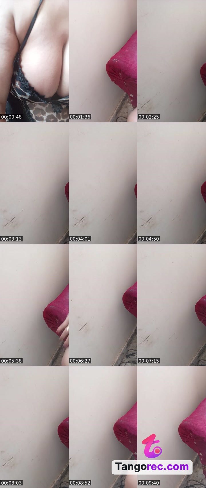 @nice-fox-113626 Tango LIVE