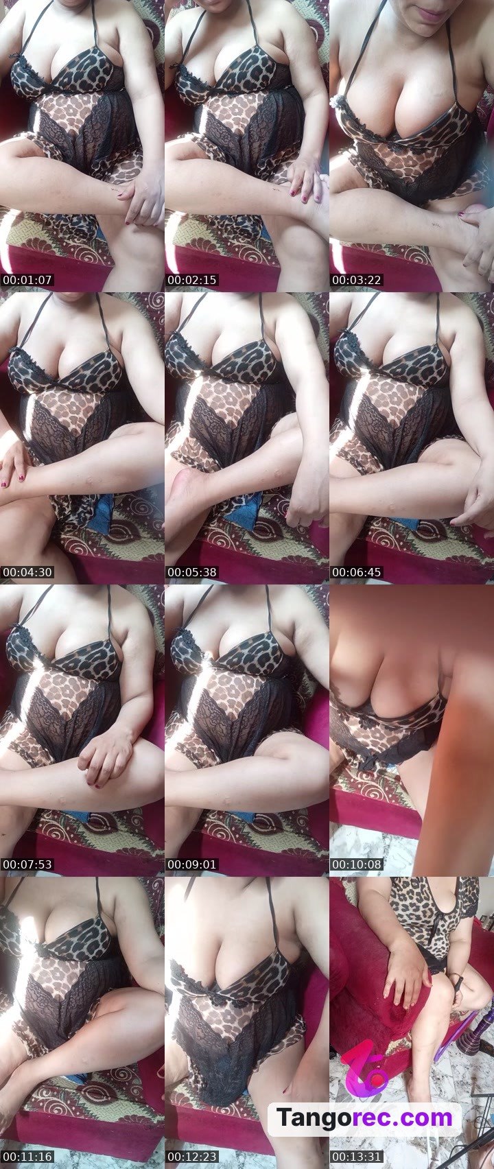 @nice-fox-113626 Tango LIVE