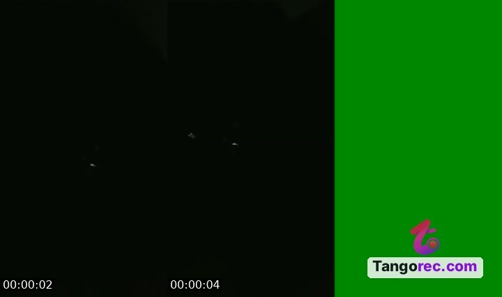 @ironwood-gator-259283 Tango LIVE
