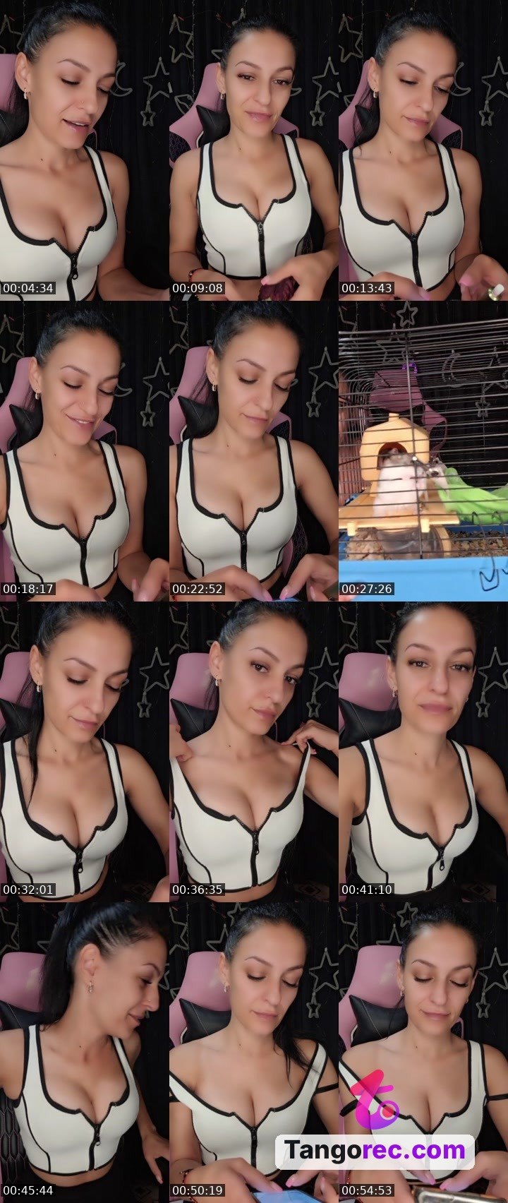 @goodelephant-79631 Tango LIVE