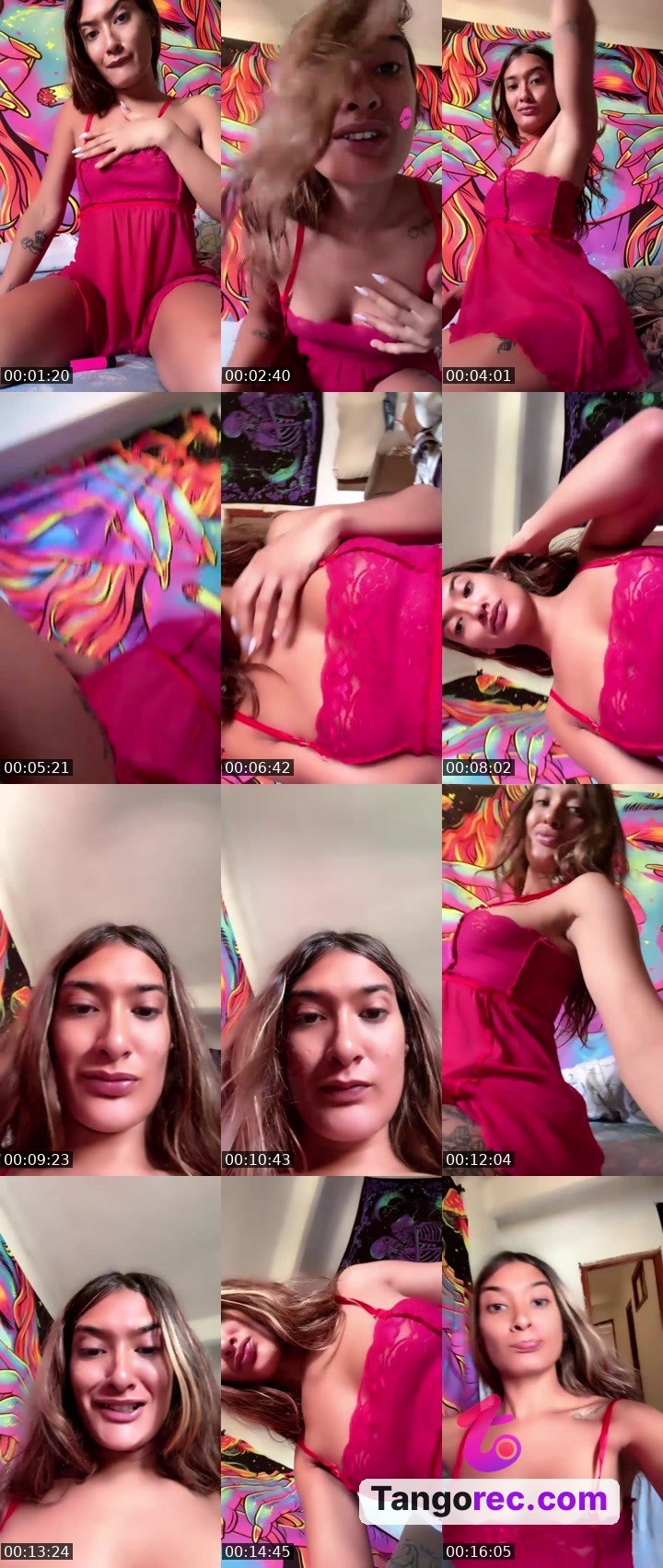 @chill-wolf-487245 Tango LIVE