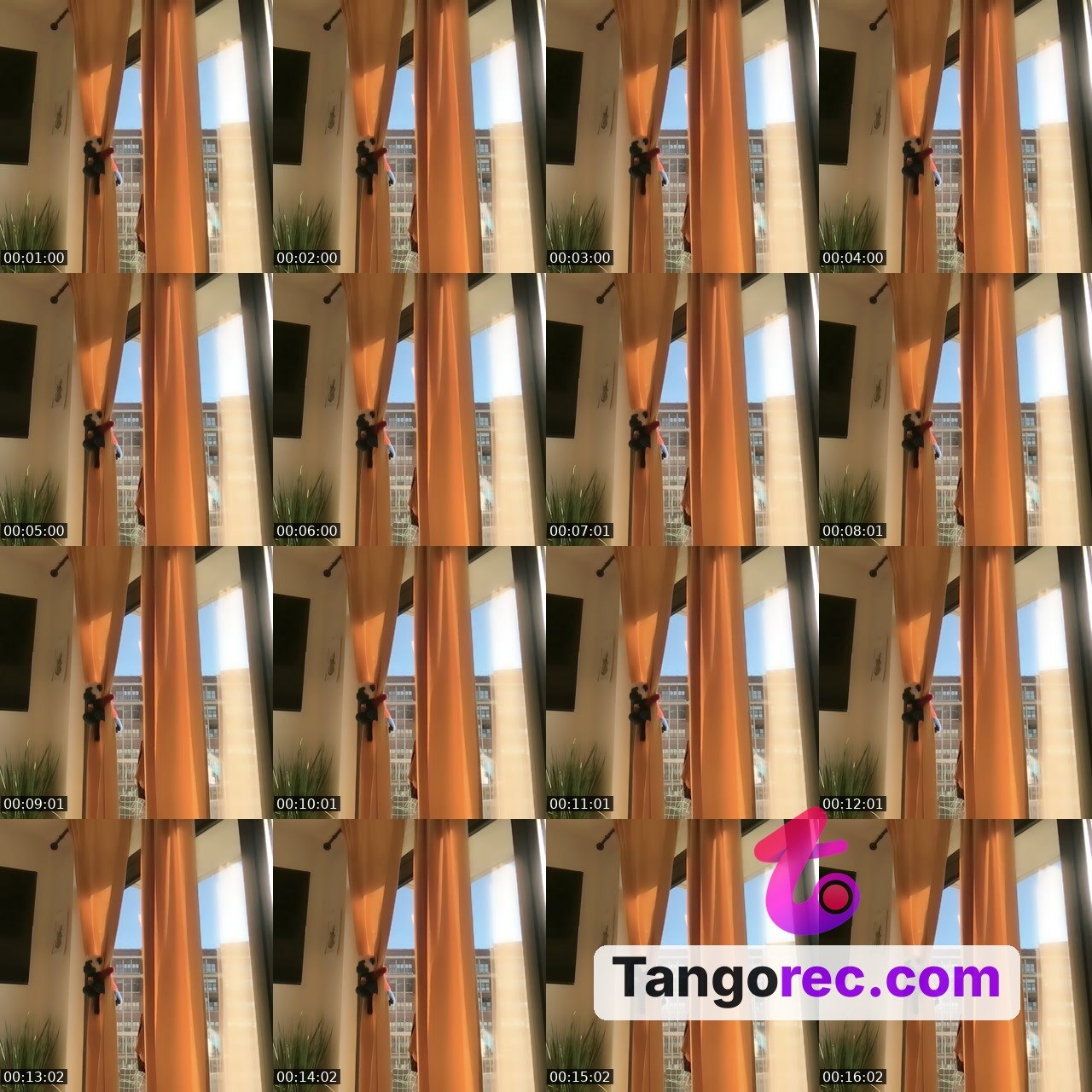 @baddominicana Tango LIVE
