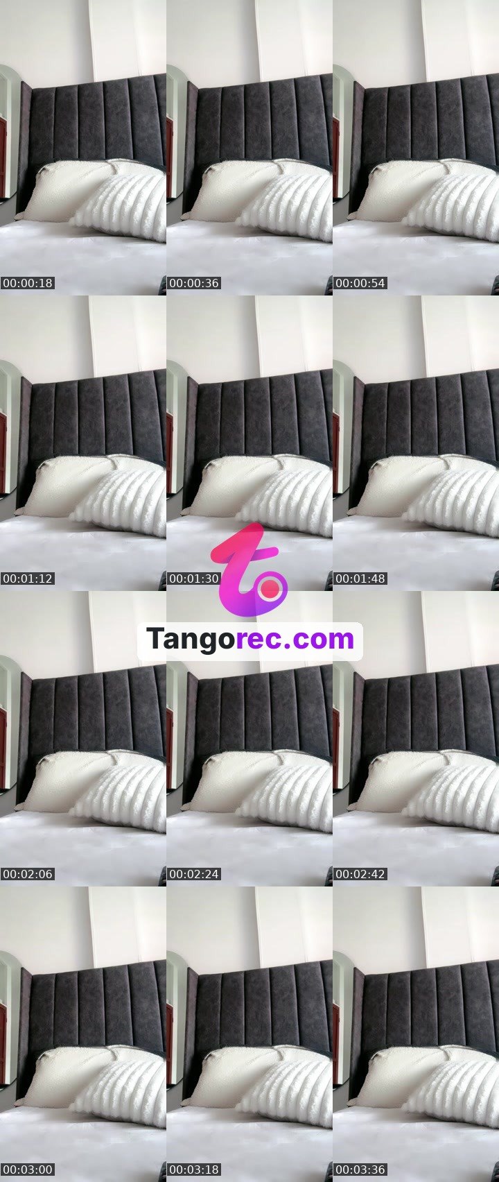 @zoe21 Tango LIVE