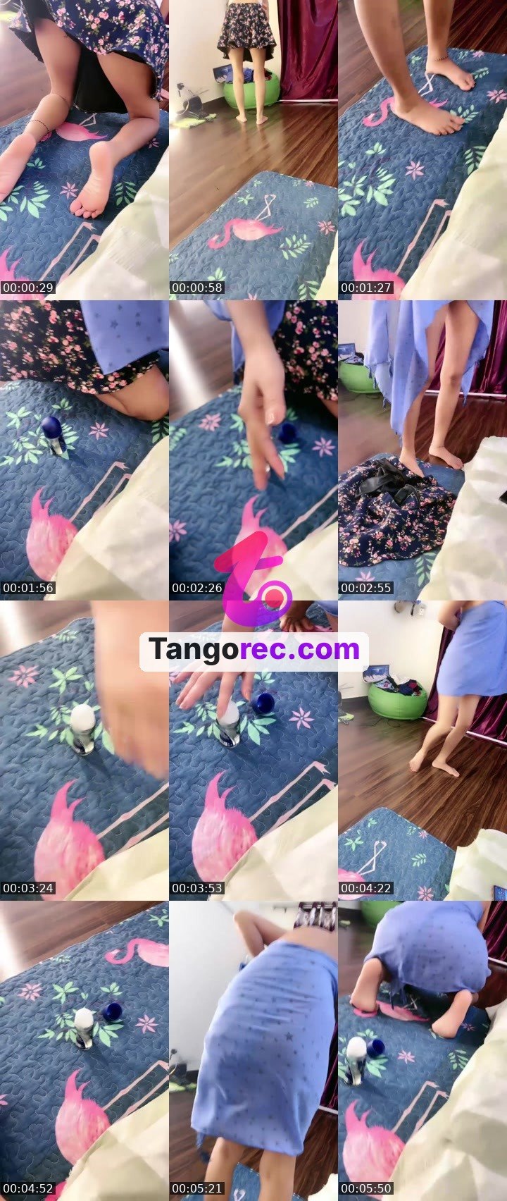 @sweetcorn-3 Tango live from 2026-08-25