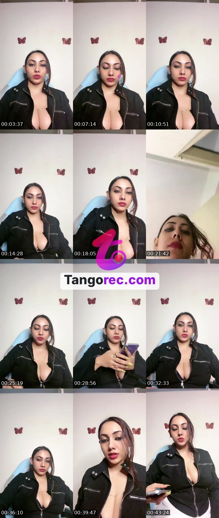 @tactical-bulldog-79078 Tango live from 2026-08-25